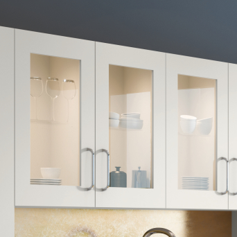 Vivo Glazed Door details